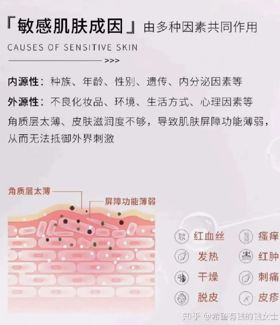 分区问题:额头闭口与下巴痘示例图