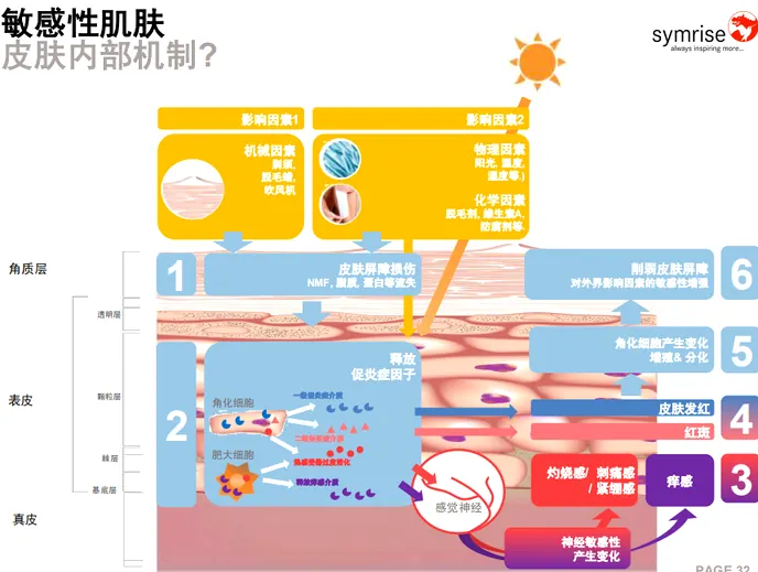 唇周问题:口角炎与唇周痘示例图